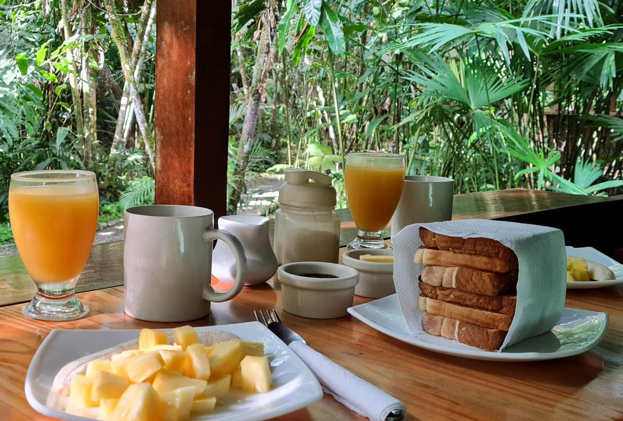 El Colibri Lodge Manzanillo  Ngoại thất bức ảnh